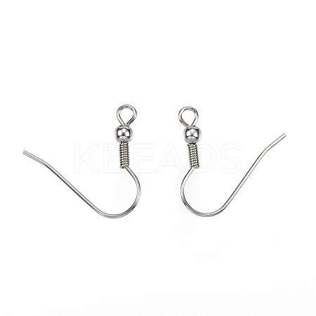 Tarnish Resistant 304 Stainless Steel Earring Hooks STAS-D448-037P-1