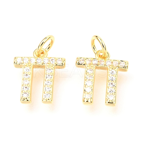 Brass Micro Pave Cubic Zirconia Charms ZIRC-O037-06G-1