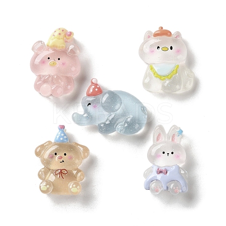 Transparent Resin Cabochons X-RESI-K043-26-1
