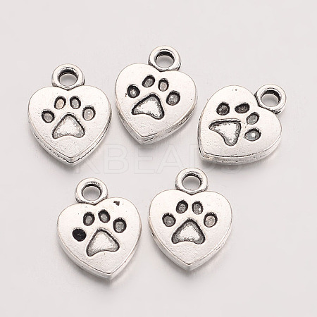Tibetan Style Alloy Charms LS-TIBEP-S291-19-RS-1