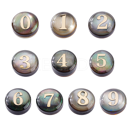 10Pcs 10 Styles Natural Black Lip Shell Flat Round Beads BSHE-PH0001-61-1