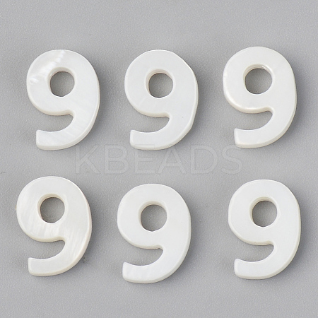 Natural Freshwater Shell Beads SSHEL-R048-005-09-1
