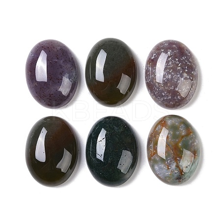Natural Indian Agate Cabochons G-B080-01A-25-1